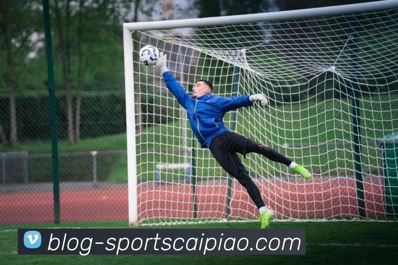 App Interface Preview